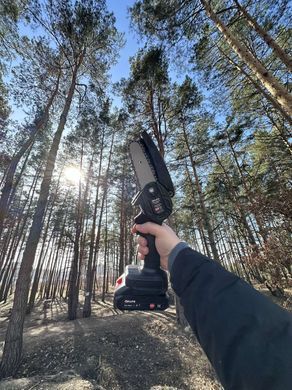 Акумуляторна ланцюгова міні пила 4 дюйми з 2-ма акум., 21V Li-ion для обрізки дерев та розпилу дров у Пластиковому чемодані Чорна
