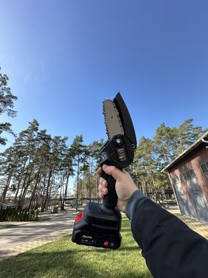 Акумуляторна ланцюгова міні пила 4 дюйми з 2-ма акум., 21V Li-ion для обрізки дерев та розпилу дров у Пластиковому чемодані Чорна