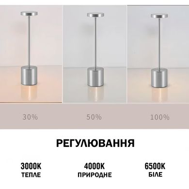 Настільна LED лампа Бра 5200mAh 3W 2700K IP54 USB Акумуляторна Срібний