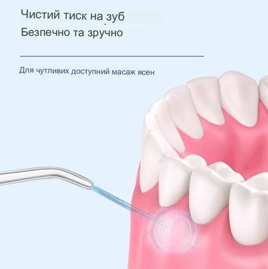 Портативний іригатор для порожнини рота Other-001 280 мл 2 насадки Білий