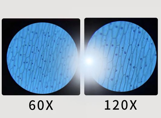 Карманный детский микроскоп со светодиодной подсветкой 60x-120x Белый