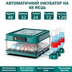 Инкубатор автоматический на 48 яиц (220/12в) NeoNest с роликовым переворотным механизмом для инкубирования яиц разных птиц