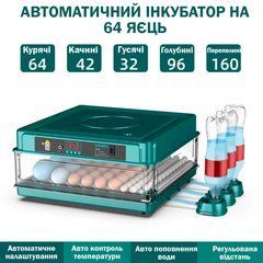 Инкубатор автоматический на 64 яиц (220/12в) NeoNest с роликовым переворотным механизмом для инкубирования яиц разных птиц