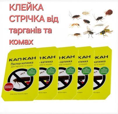 Набір Клейова пастка Кап-Кан 5шт / Будиночок пастка від тарганів, комах, мурах, клопів, кліщів, бджіл 19х8х3см