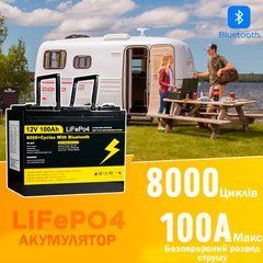 Акумулятор LiFePO4 MLD 12V 100Ah з BMS/ Bluetooth та функцією підігріва / Літій-залізо-фосфатна батарея для ДБЖ, RV, сонячних систем, струм розряду 100A